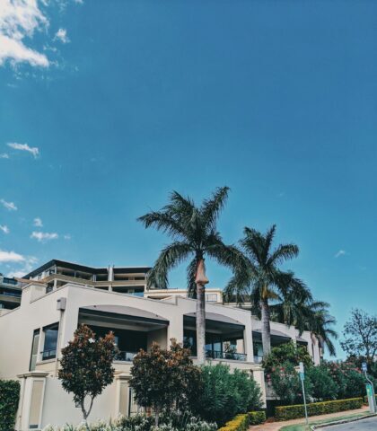 Contemporary house in Brisbane surrounded by lush palm trees under a bright blue sky.